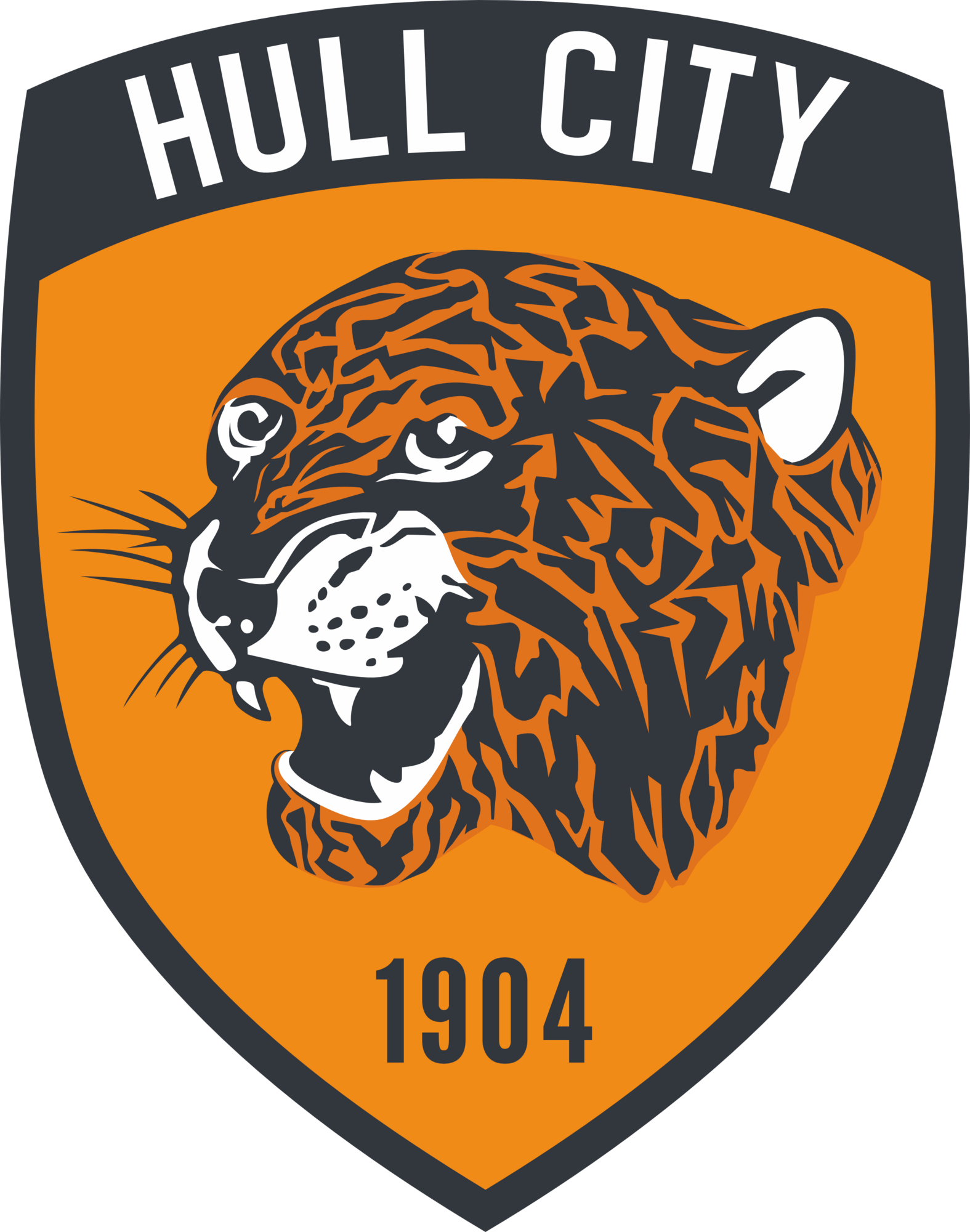 Hull City FC